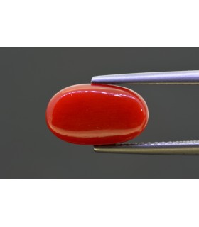 4.56 cts Natural Coral - Moonga (SKU:90158179)