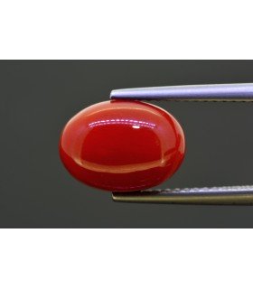 4.95 cts Natural Coral (Moonga)