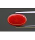 4.89 cts Natural Coral - Moonga (SKU:90158193)