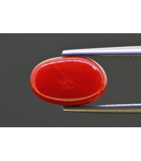 4.89 cts Natural Coral - Moonga (SKU:90158193)