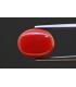 5.81 cts Natural Coral - Moonga (SKU:90158209)