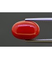 5.48 cts Natural Coral (Moonga)
