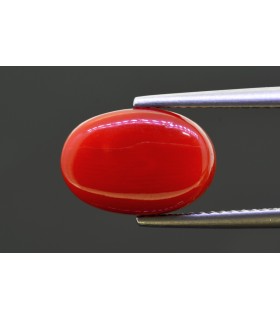 5.48 cts Natural Coral - Moonga (SKU:90158216)