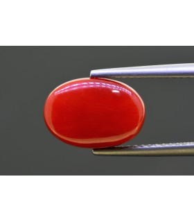 5.52 cts Natural Coral - Moonga (SKU:90158223)