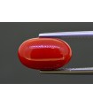 5.81 cts Natural Coral (Moonga)