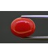 5.94 cts Natural Coral (Moonga)