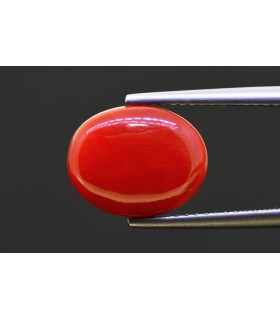 5.94 cts Natural Coral - Moonga (SKU:90158254)