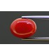 5.93 cts Natural Coral (Moonga)