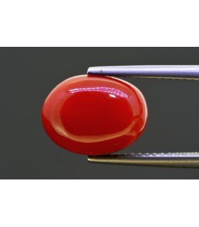 5.93 cts Natural Coral (Moonga)