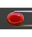 5.93 cts Natural Coral (Moonga)