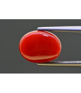 5.93 cts Natural Coral - Moonga (SKU:90158261)