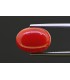 5.35 cts Natural Coral (Moonga)