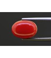5.35 cts Natural Coral (Moonga)