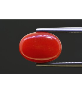 5.35 cts Natural Coral - Moonga (SKU:90158278)