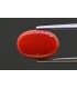 5.24 cts Natural Coral - Moonga (SKU:90158285)