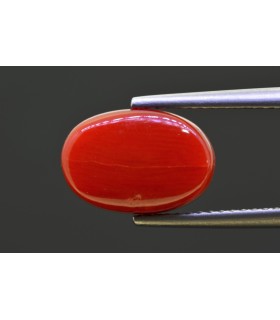 5.24 cts Natural Coral - Moonga (SKU:90158285)