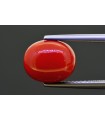 5.31 cts Natural Coral (Moonga)