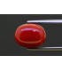 5.82 cts Natural Coral (Moonga)
