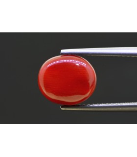 5.05 cts Natural Coral - Moonga (SKU:90158322)