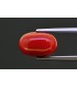 5.28 cts Natural Coral (Moonga)