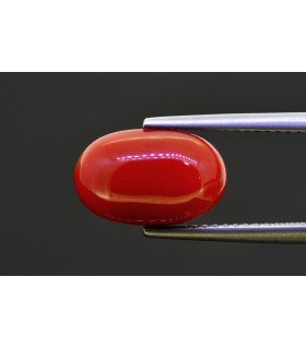 5.28 cts Natural Coral (Moonga)