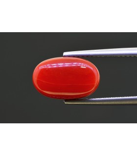 5.28 cts Natural Coral - Moonga (SKU:90158339)