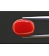 5.54 cts Natural Coral - Moonga (SKU:90158346)