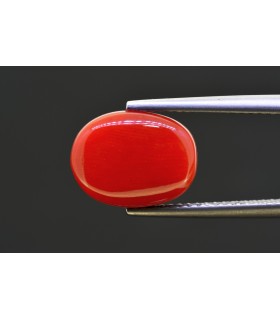 5.54 cts Natural Coral - Moonga (SKU:90158346)