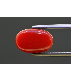 5.27 cts Natural Coral - Moonga (SKU:90158353)