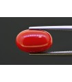 6.71 cts Natural Coral (Moonga)