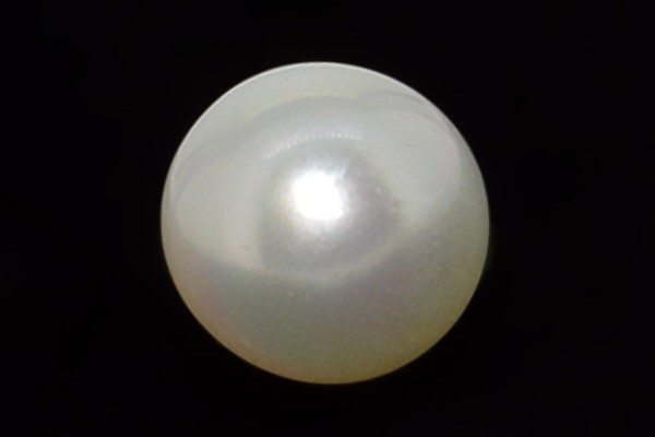 3.5 cts Cultured Pearl (Moti)