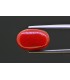 6.59 cts Natural Coral - Moonga (SKU:90158384)