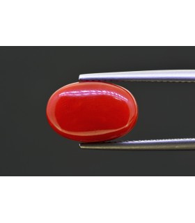 6.59 cts Natural Coral - Moonga (SKU:90158384)