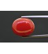 8.72 cts Natural Coral (Moonga)