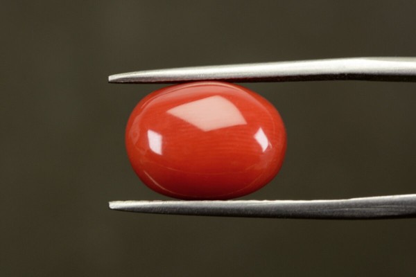 7.12 cts Natural Coral (Moonga)