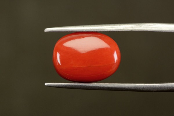 7.12 cts Natural Coral (Moonga)