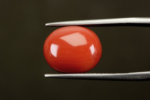 8.54 cts Natural Coral (Moonga)