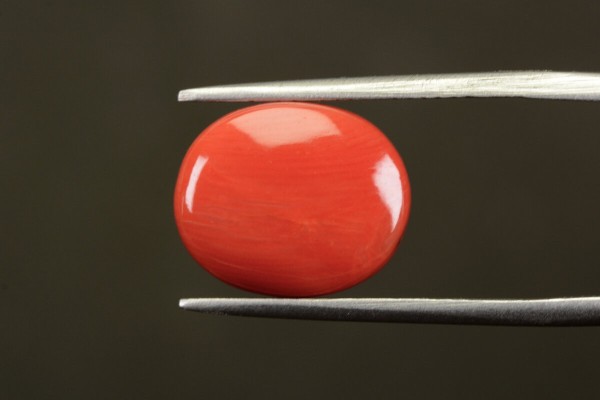 8.54 cts Natural Coral (Moonga)