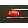 11.5 cts Natural Coral (Moonga)