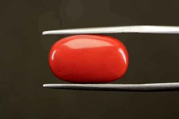 11.5 cts Natural Coral (Moonga)