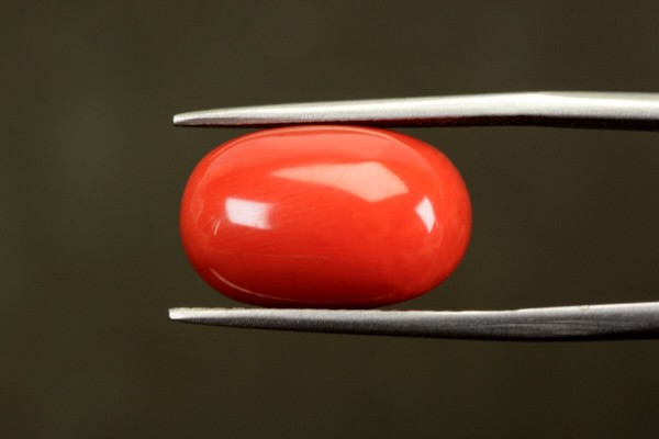 11.48 cts Natural Coral (Moonga)