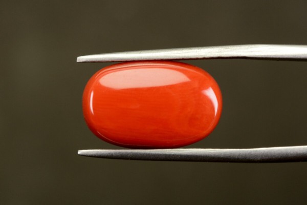 11.48 cts Natural Coral (Moonga)