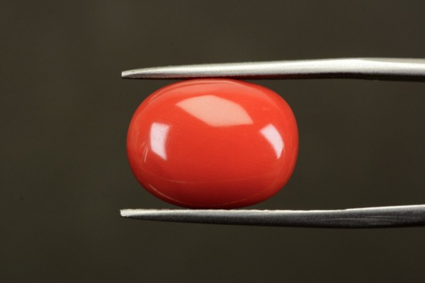 10.80 cts Natural Coral (Moonga)