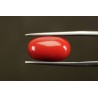 9.32 cts Natural Coral (Moonga)