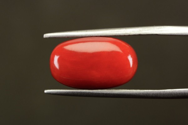 9.32 cts Natural Coral (Moonga)