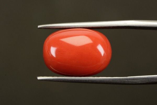 10.65 cts Natural Coral (Moonga)