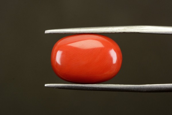 10.65 cts Natural Coral (Moonga)