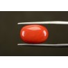 10.65 cts Natural Coral (Moonga)