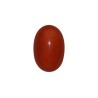 36.77 cts Natural Coral (Moonga)