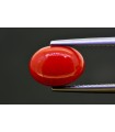 3.48 cts Natural Coral (Moonga)